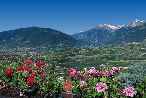 Splendida vista panoramica su Merano