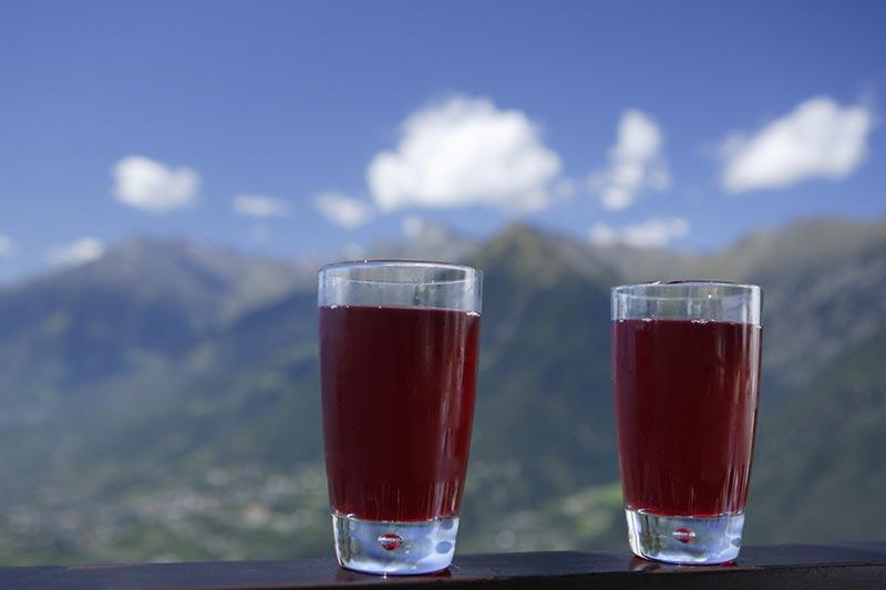 Panorama Schenna - Saft Panorama Schenna - Saft