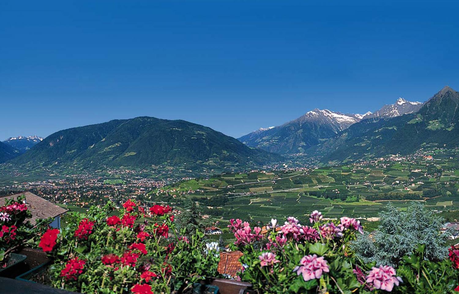 Panoramablick vom Balkon