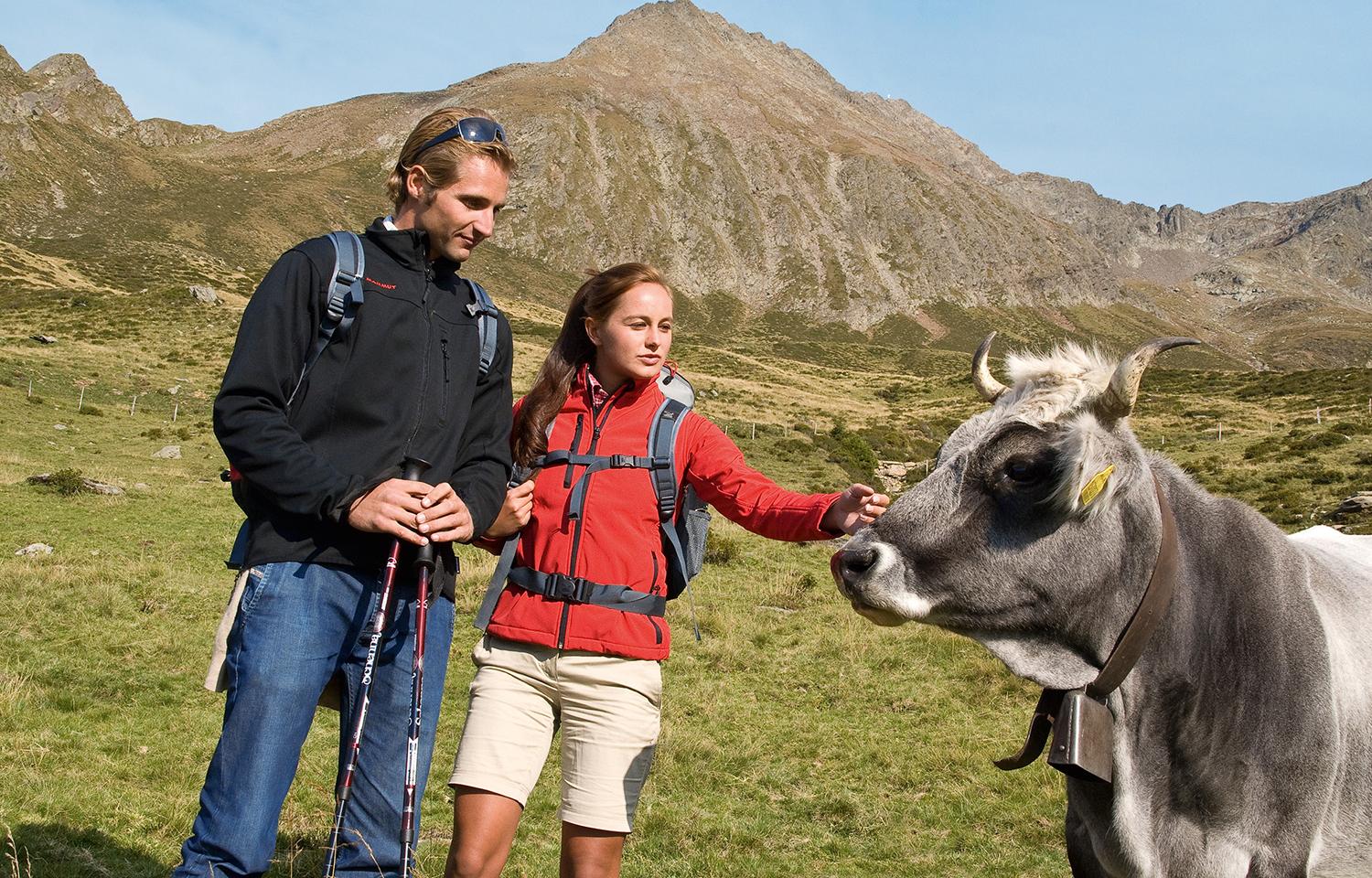 Wandern im Hirzergebiet